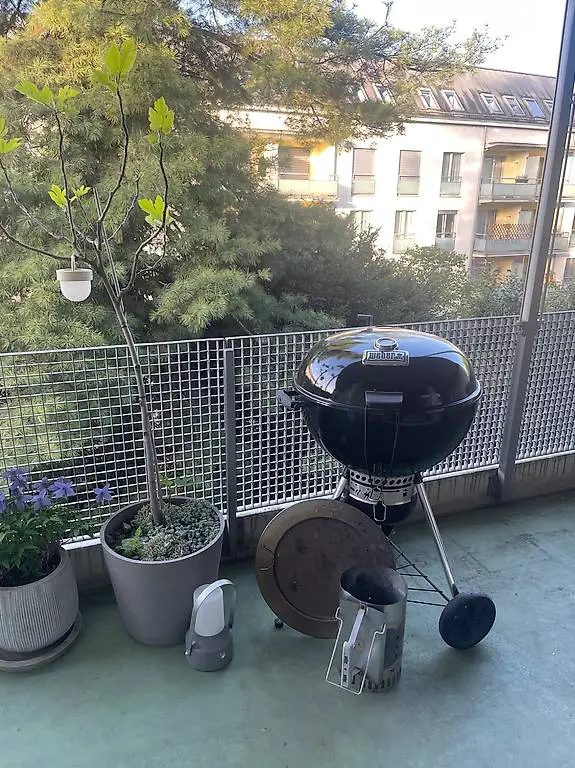 Weber Master-Touch GBS E-5750 ink. Pizzaplatte & Fisch-Rack