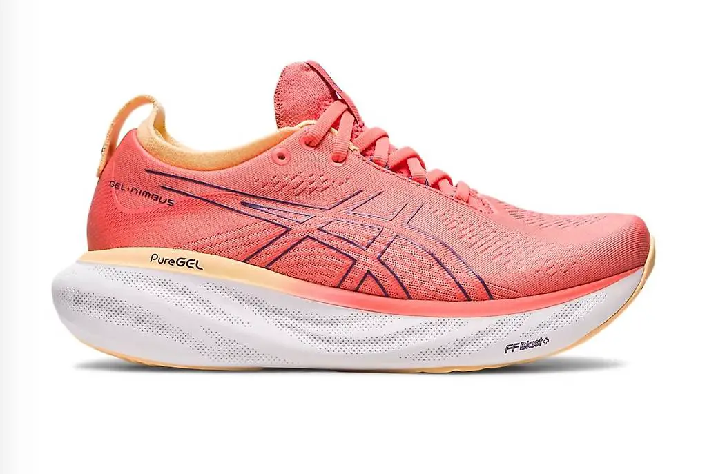 Asics Gel Nimbus 25 Gr 40, 40.5, 41.5, 42 Neu