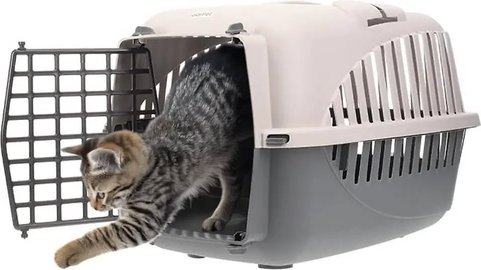 Hundebox Auto Rückbank Transportbox Katze Katzentransportbox