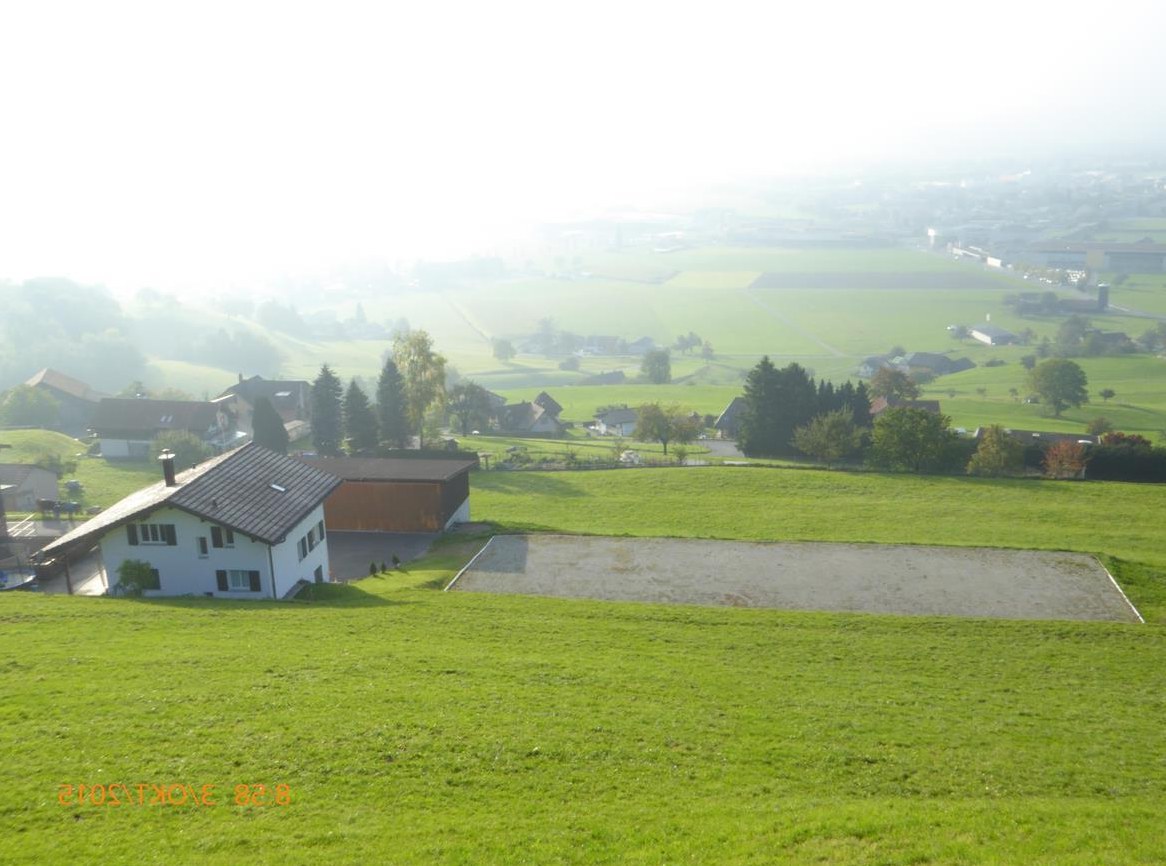 Selbstversorgerstall mit 6 Pferdeboxen, 4 Boxen mit Auslauf