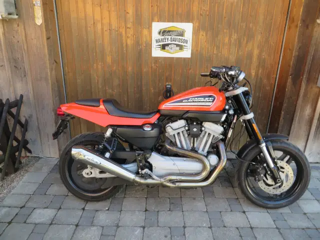 harley-davidson xr 1200 sportster