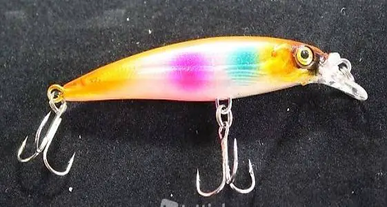  Portofrei 021 Wobbler Fisch Angel Kunst Köder Elritze Bai