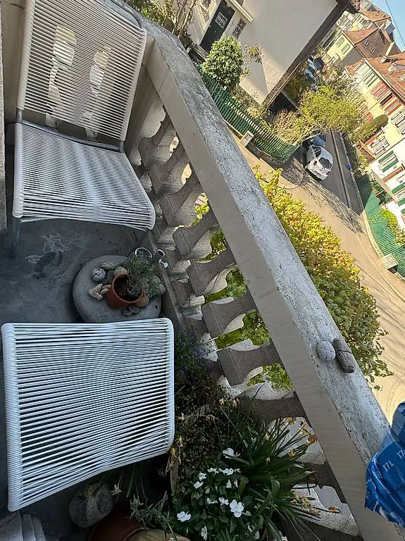 Schaffner Garten Lounger