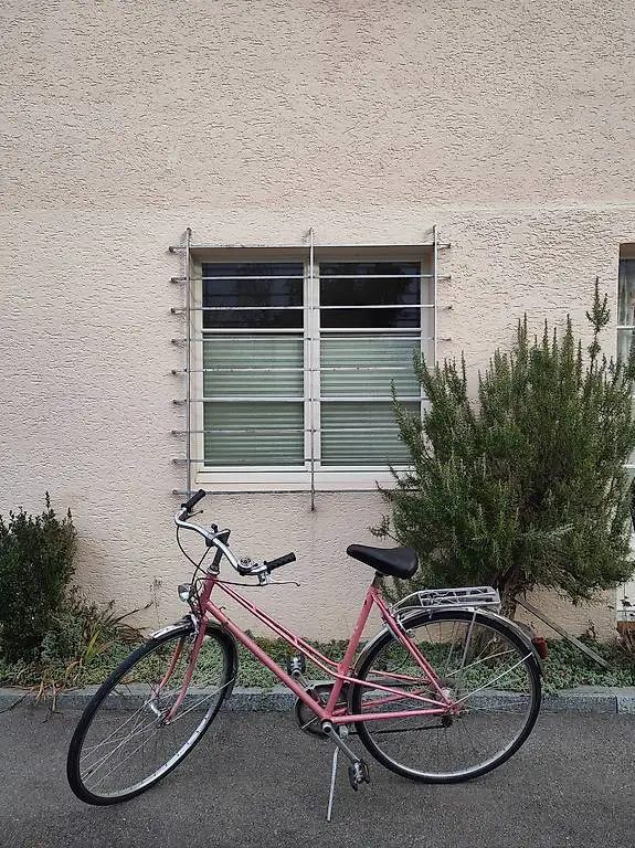 Stadtvelo / Fahrrad EIGER