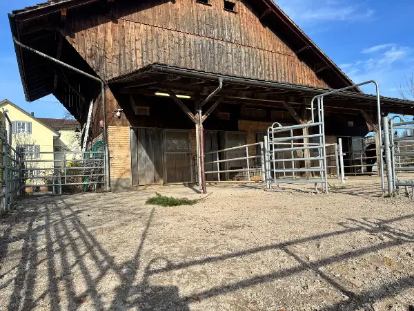 Grosse Auslaufbox frei