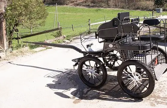 Kutsche / Trainingswagen, 1- und 2-spännig