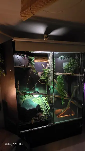 Riesiges Eck-Terrarium für grosse Schlangen oder Reptilien