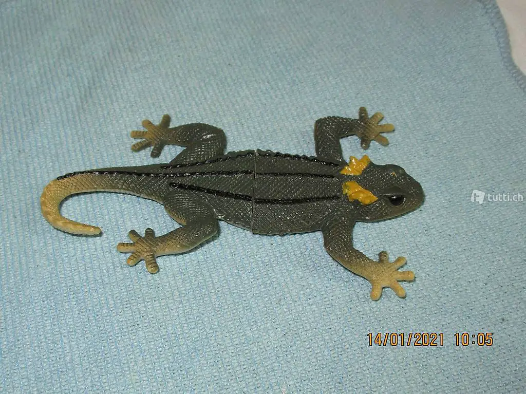 Echse, Eidechse, Salamander, Reptil