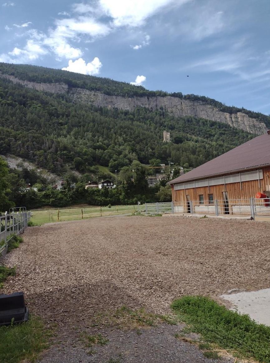 Pferdepensionsplatz zu vermieten in Haldenstein GR