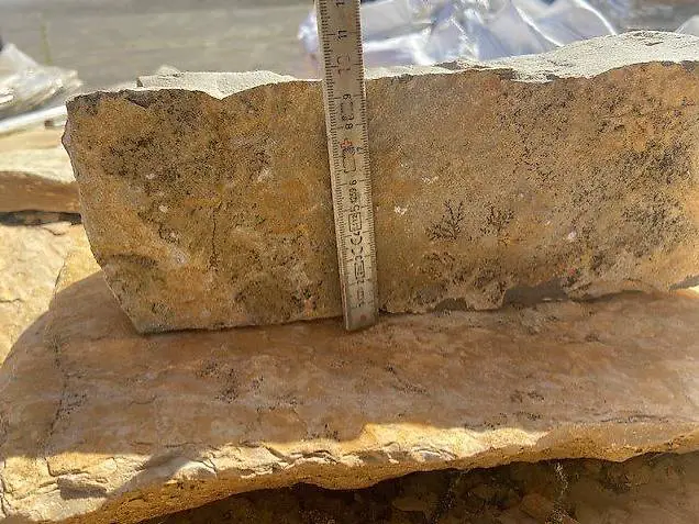 kalkstein- kleinmauersteine 10cm