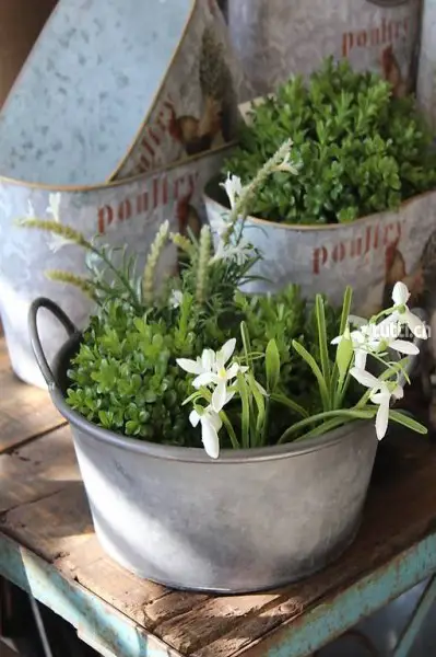  Zinkschale Jackson ø41cm Landhaus Shabby chic