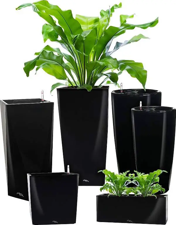 Pflanzwerk® ÖKOSYSTEM Pflanzkübel Pipe - Blumentöpfe Übertöp