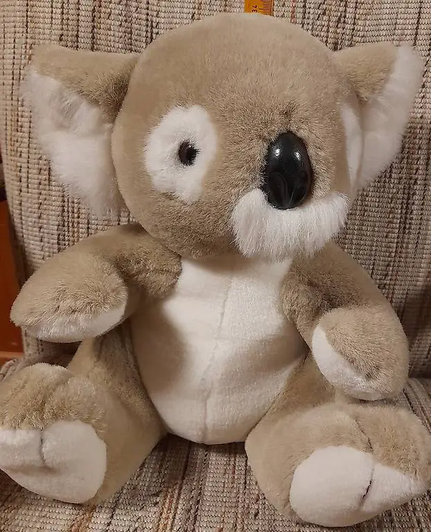 Grosser schöner Koalabär 34 cm.