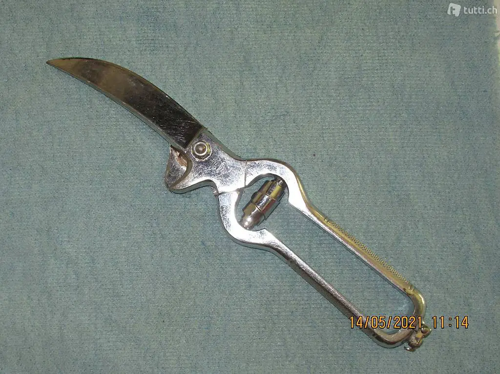 Geflügelschere, Pouletschere, Poulet Schere, Fleischschere