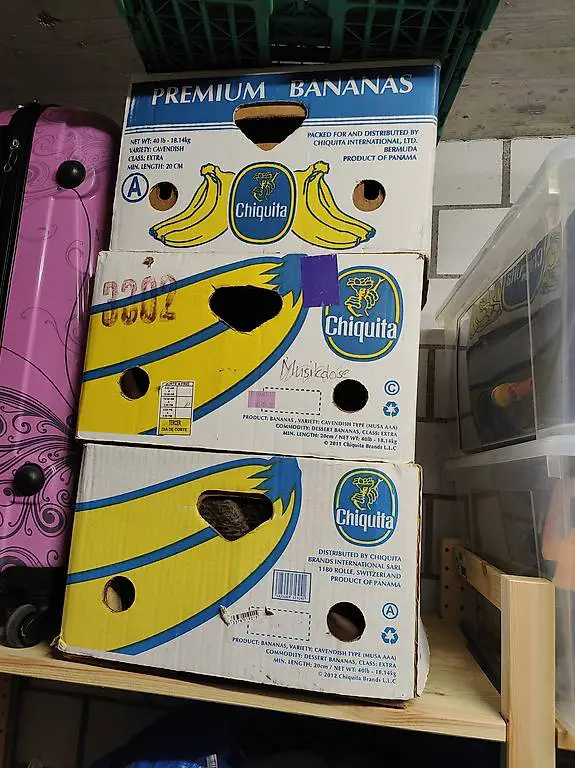 Bananenschachteln abzugeben