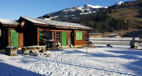 Bauernhauswohnung ab 3 Zi, Raum Seeland BE/FR, mit Garten/Sitzplatz