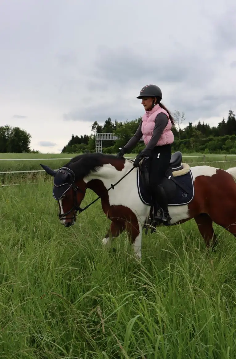 Reitbeteiligung für coolen Wallach und Pony Stute