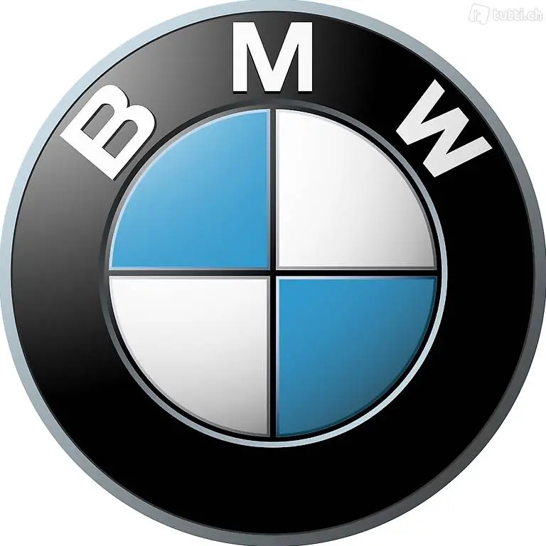 BMW Diagnose