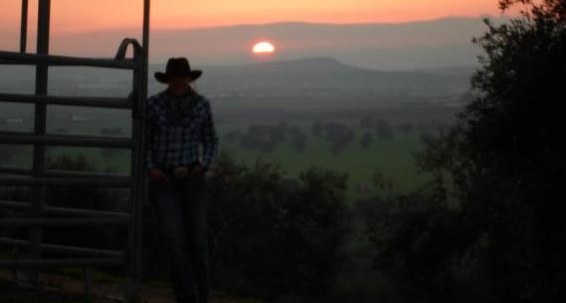 Reitstunden und Ausritte, nähe Baden oder Rheinfelden