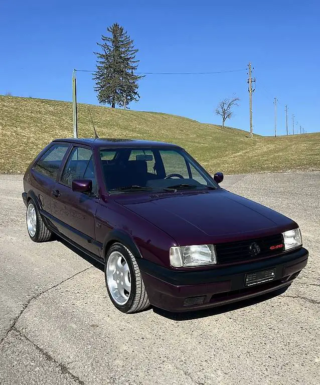 Polo G40