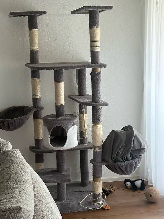 Katzenbaum gratis zum abholen