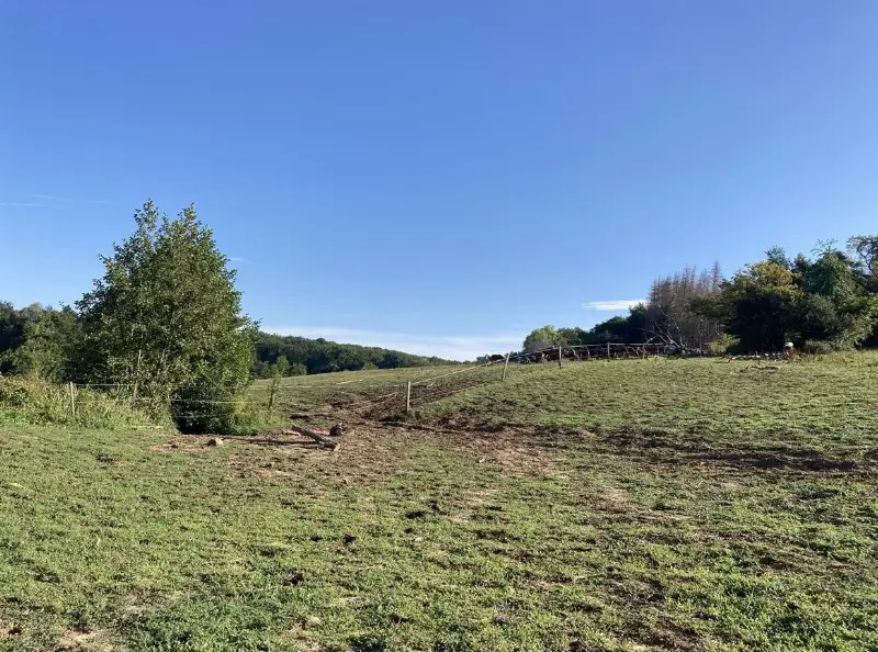 Suche Selbstversorgerstall mit Weideland