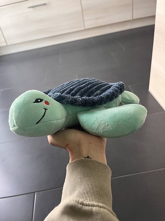 Hundespielzeug Schildkröte