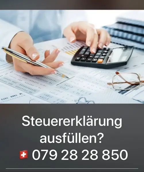 Steuererklärung 2024 für Kant. Luzern, Aargau, ZH ausfüllen