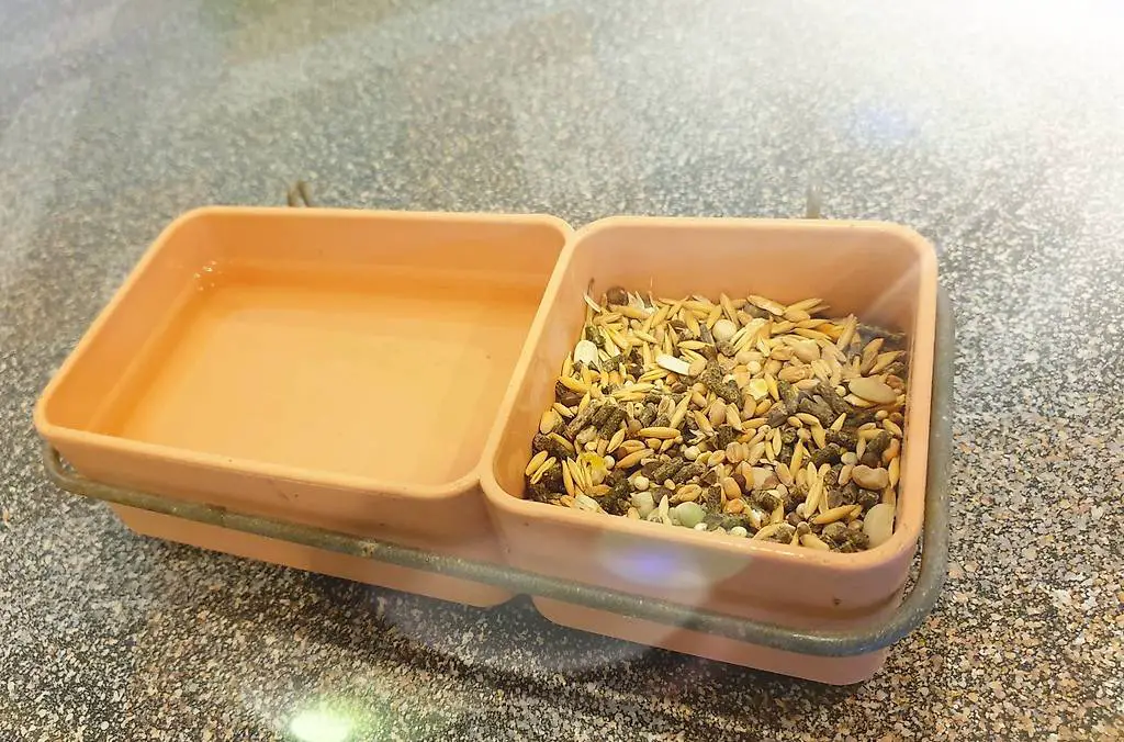 Futternapf für Meerschweinchen und Kaninchen