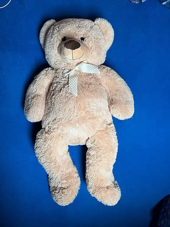 Plüschbär
