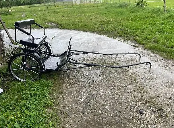 Gepflegter Sulky / Gig für Freiberger / Tinker usw.