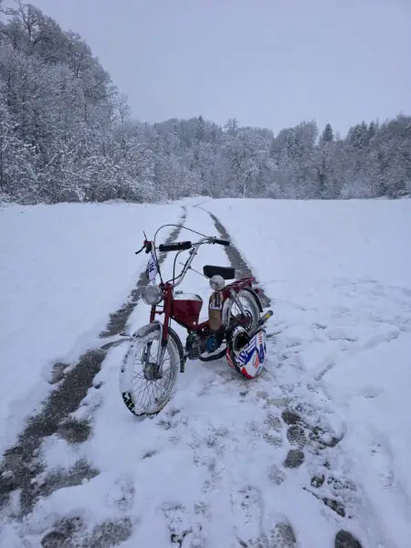 Puch Sport Neuaufbau