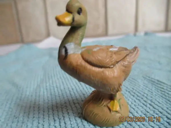  Gans, Wildgans, Ente, Stockente?