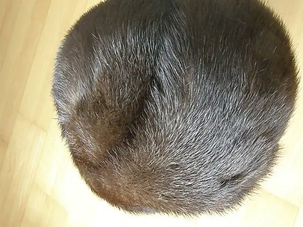 Pelzmütze Biber 602