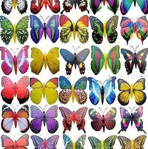  Magnet-Schmetterlinge ideale Dekoidee