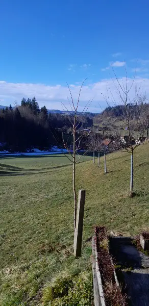 Wohnung in ruhiger sonniger Lage