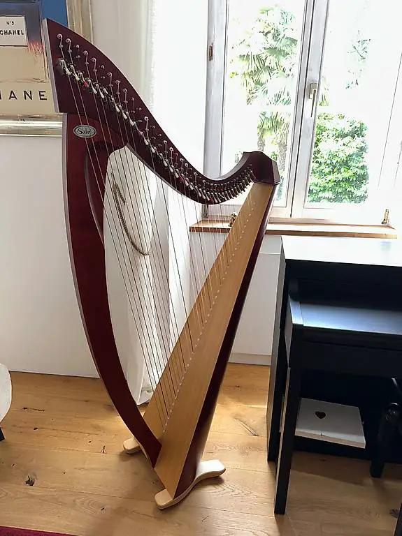 Harfe Salvi Titan zu verkaufen