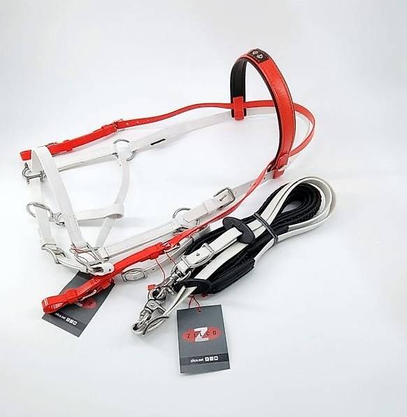 Kombi-Trensenzaum DELUXE in Rot & Weiss | mit Zügel