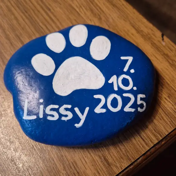 Katzen und Hunde tanzen