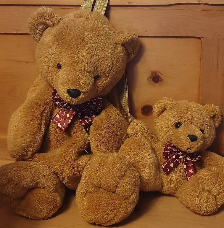 Rucksack Bär für Pyjama