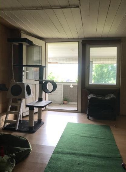 Tierpension Grüne Pfote in Kaltbrunn SG