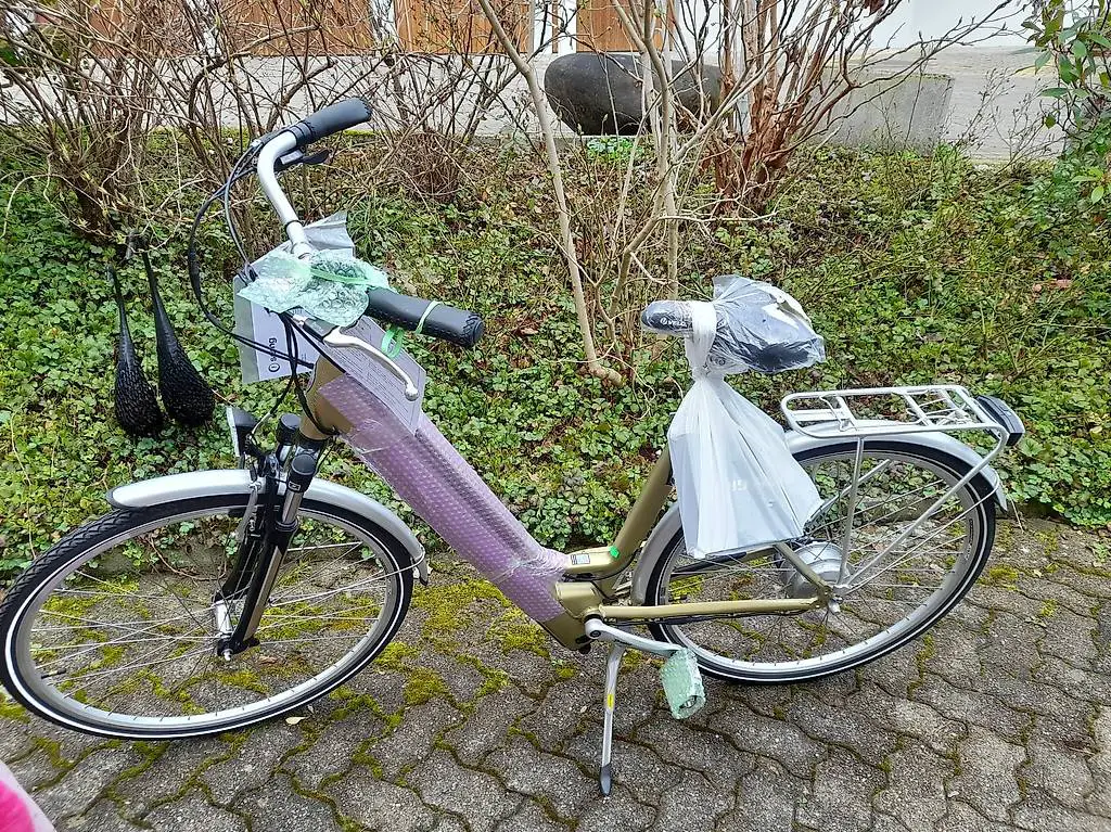 Neues E Bike