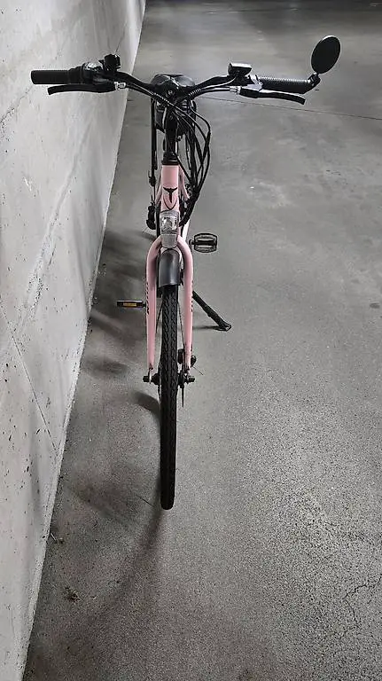 Elektrovelo Roxy von Totem