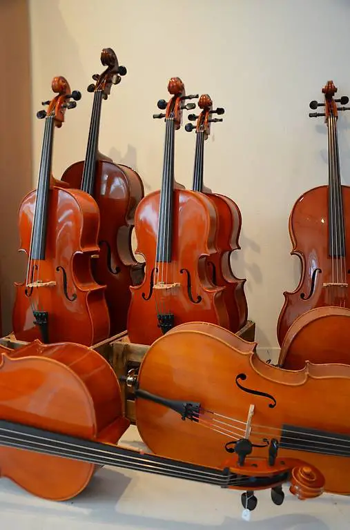 Vermietung von Geige/Violine, Bratsche/Viola und Cello