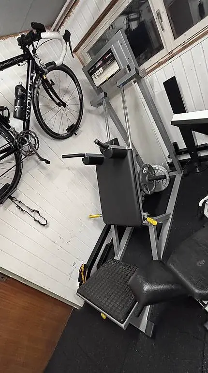 Hack Squat / Hackenschmidt / Beinpresse