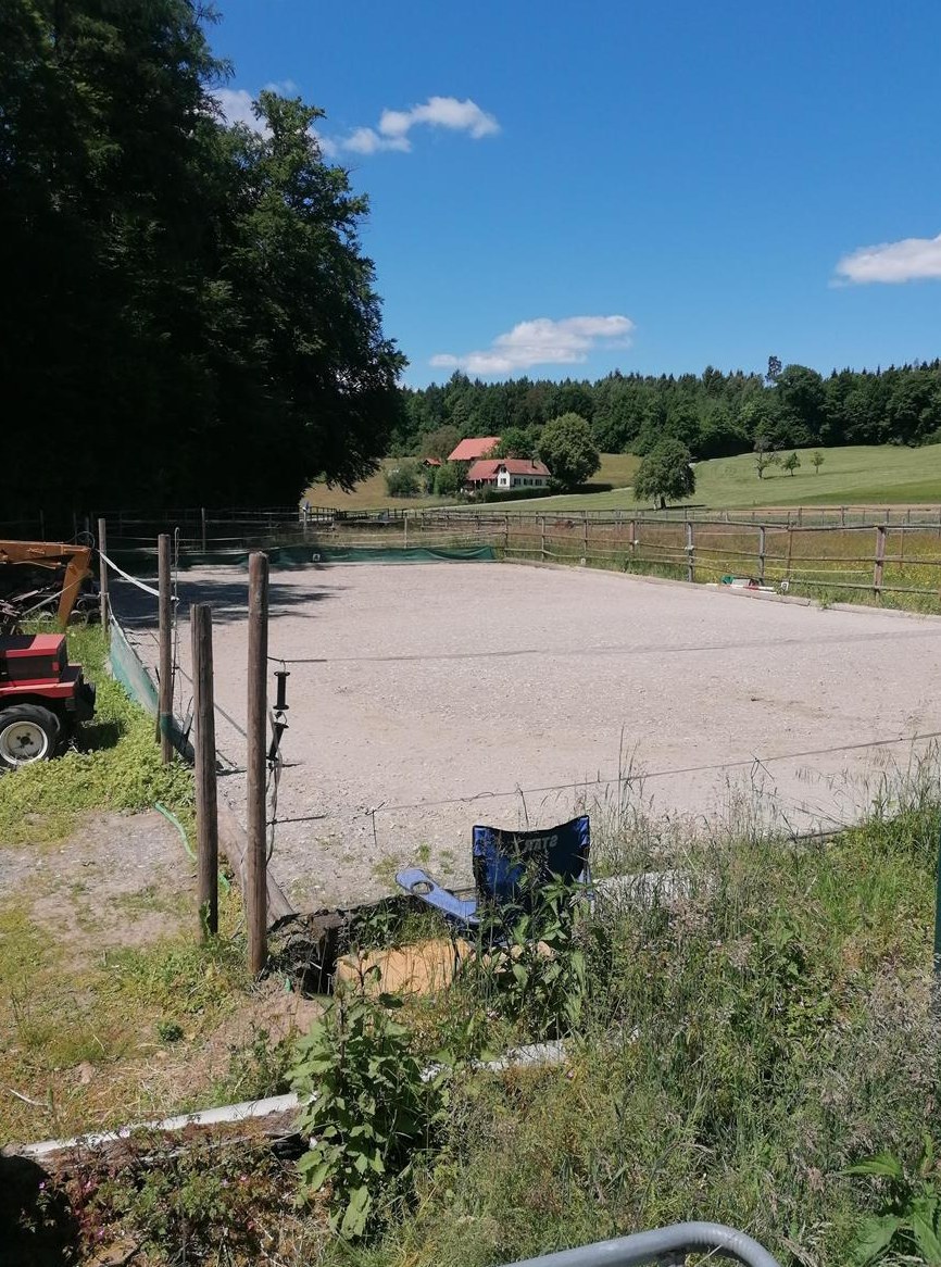 Pferdestall an Selbstversorger zu vermieten in Niedergösgen SO