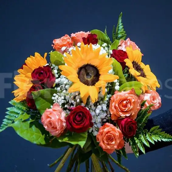 Mediterrane Oldies-WG-Wohnung/Haus gesucht, Stadt ZH