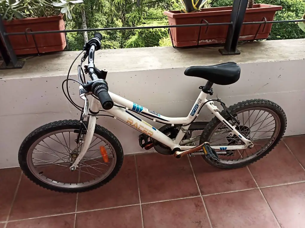 bicicletta 6/8 anni