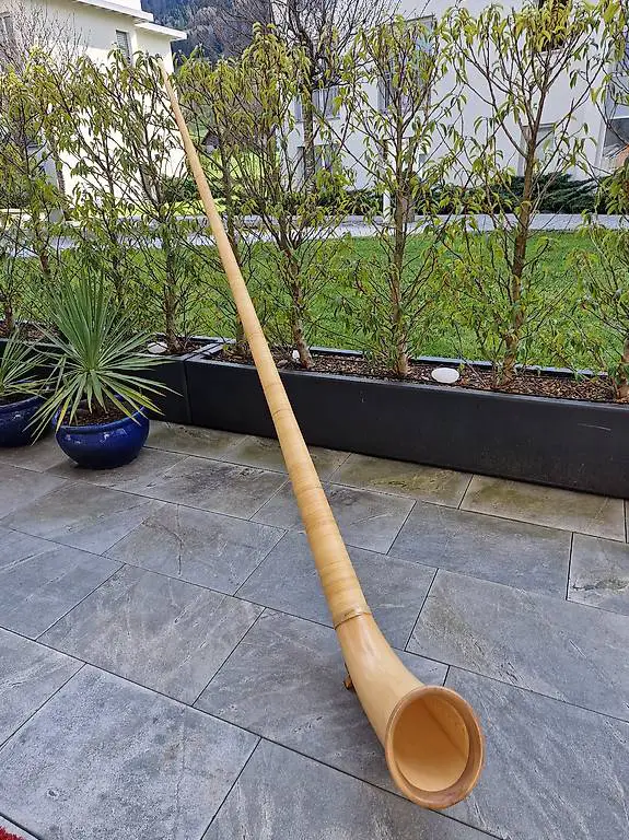 Alphorn von Bernatone