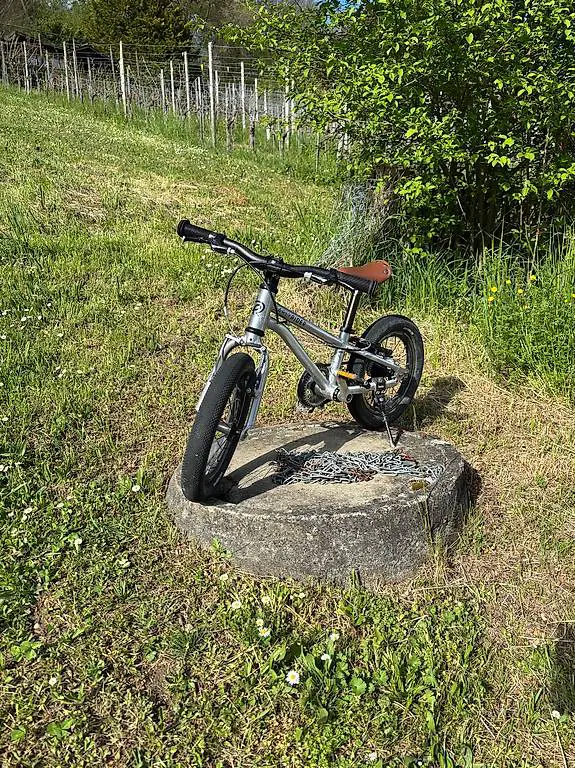 Early Rider Belter 14 Zoll Kinderfahrrad